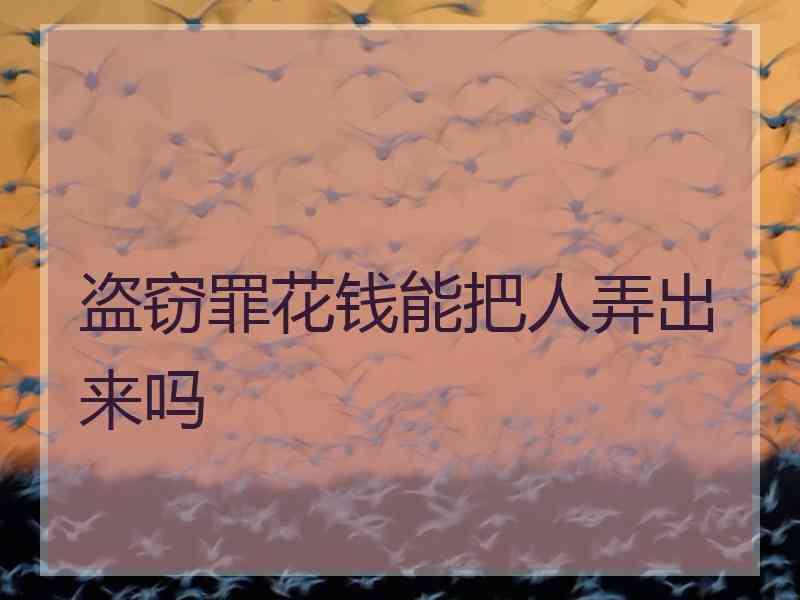 盗窃罪花钱能把人弄出来吗