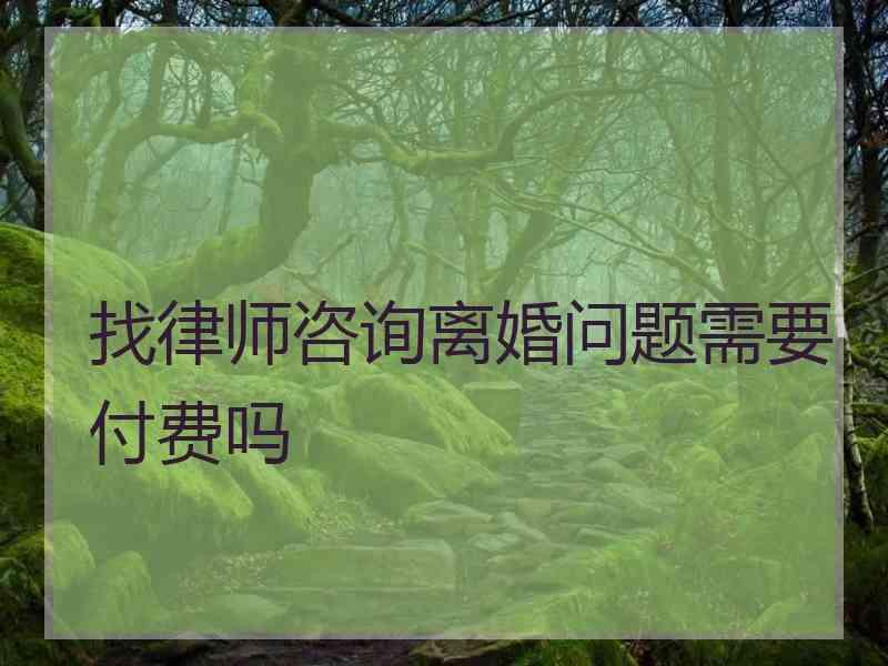 找律师咨询离婚问题需要付费吗