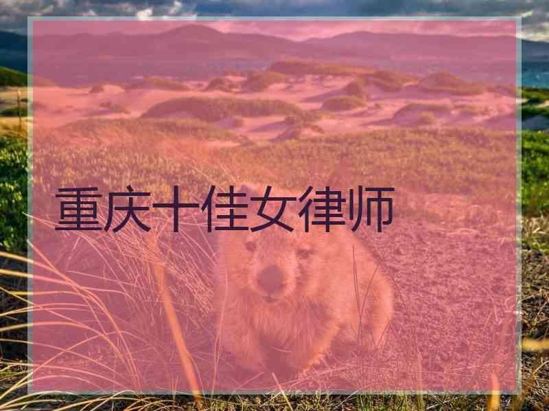 重庆十佳女律师