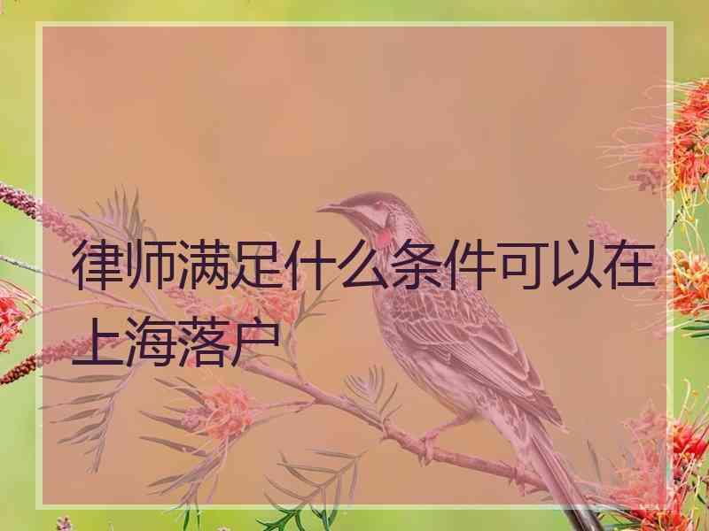 律师满足什么条件可以在上海落户