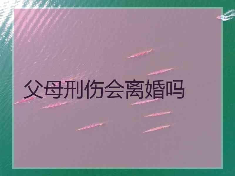 父母刑伤会离婚吗