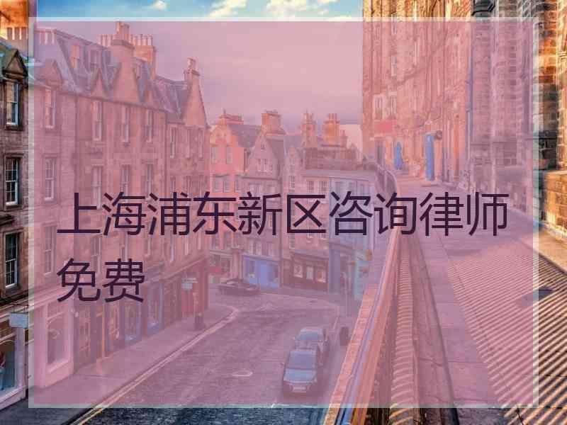 上海浦东新区咨询律师免费