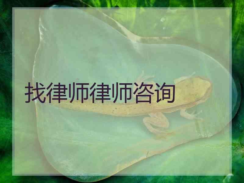 找律师律师咨询