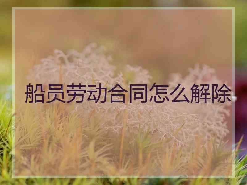 船员劳动合同怎么解除