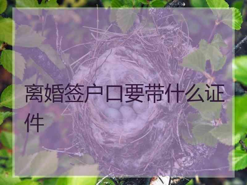 离婚签户口要带什么证件