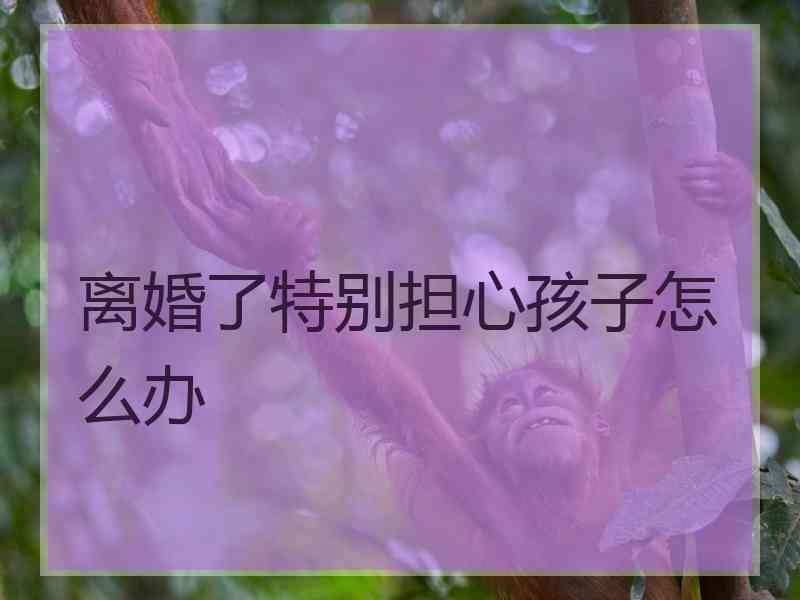 离婚了特别担心孩子怎么办