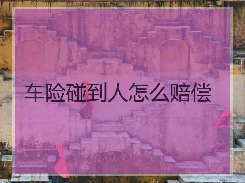 车险碰到人怎么赔偿