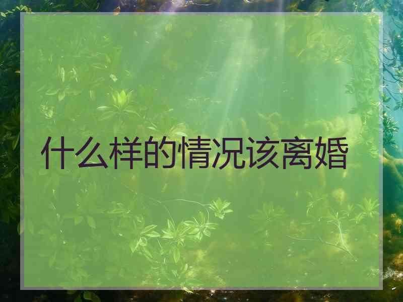 什么样的情况该离婚