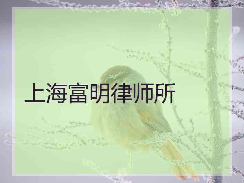 上海富明律师所