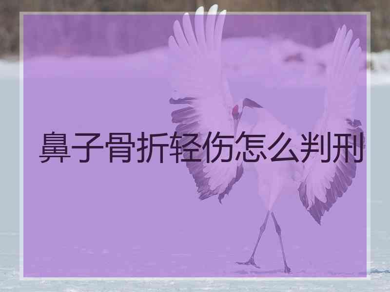 鼻子骨折轻伤怎么判刑