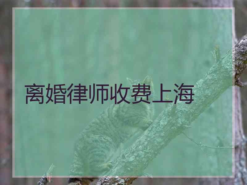 离婚律师收费上海