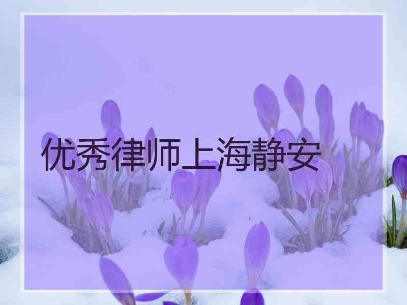 优秀律师上海静安