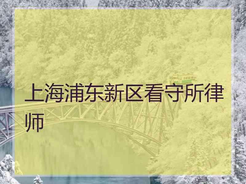 上海浦东新区看守所律师