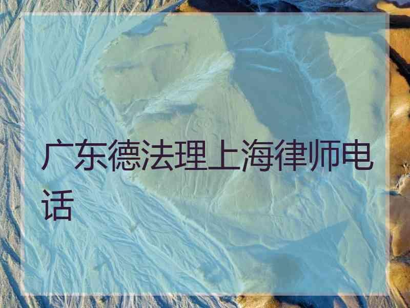 广东德法理上海律师电话