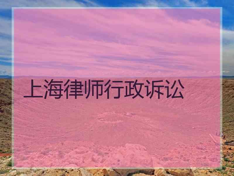 上海律师行政诉讼