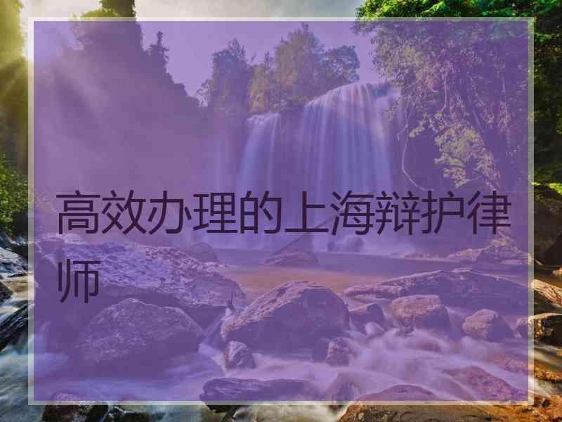 高效办理的上海辩护律师