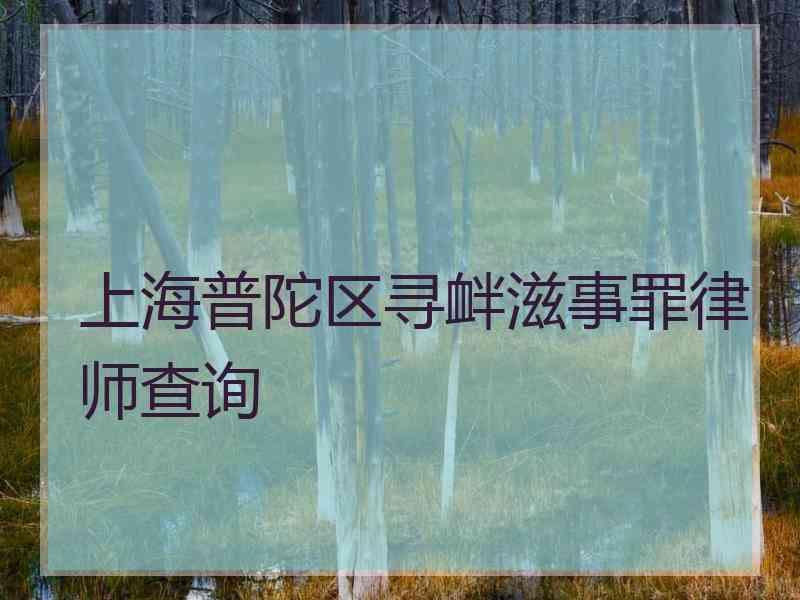 上海普陀区寻衅滋事罪律师查询