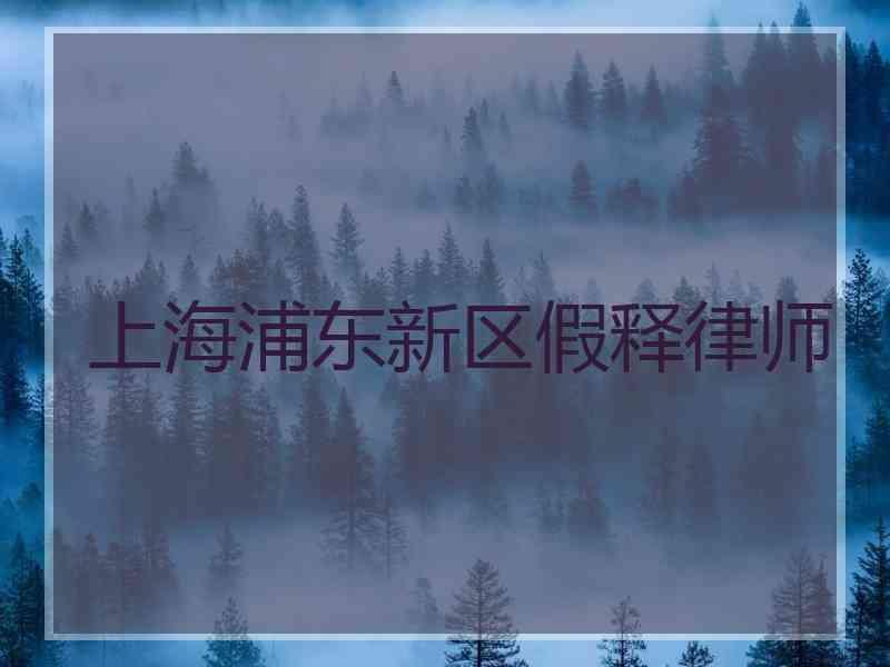 上海浦东新区假释律师