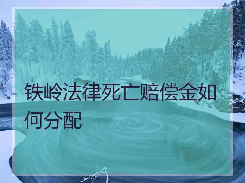 铁岭法律死亡赔偿金如何分配