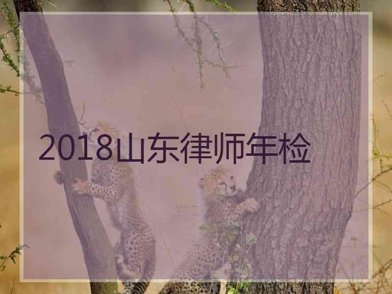 2018山东律师年检