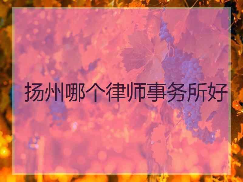 扬州哪个律师事务所好