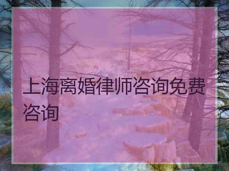 上海离婚律师咨询免费咨询