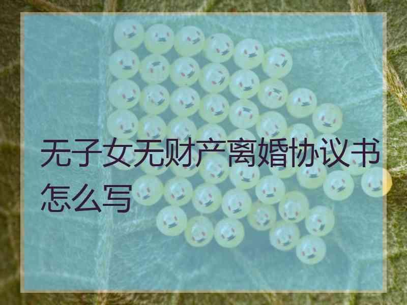 无子女无财产离婚协议书怎么写