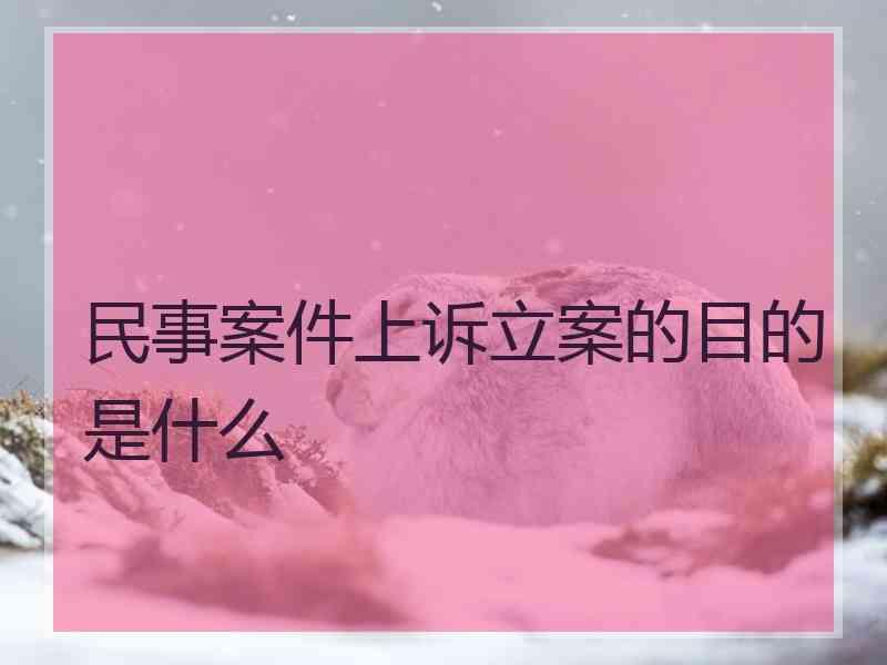 民事案件上诉立案的目的是什么