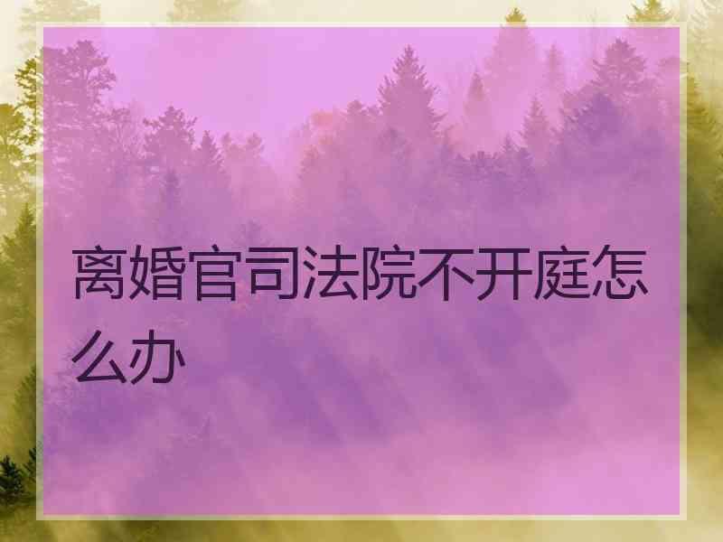 离婚官院不开庭怎么办