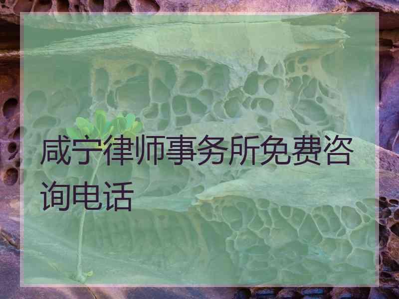 咸宁律师事务所免费咨询电话