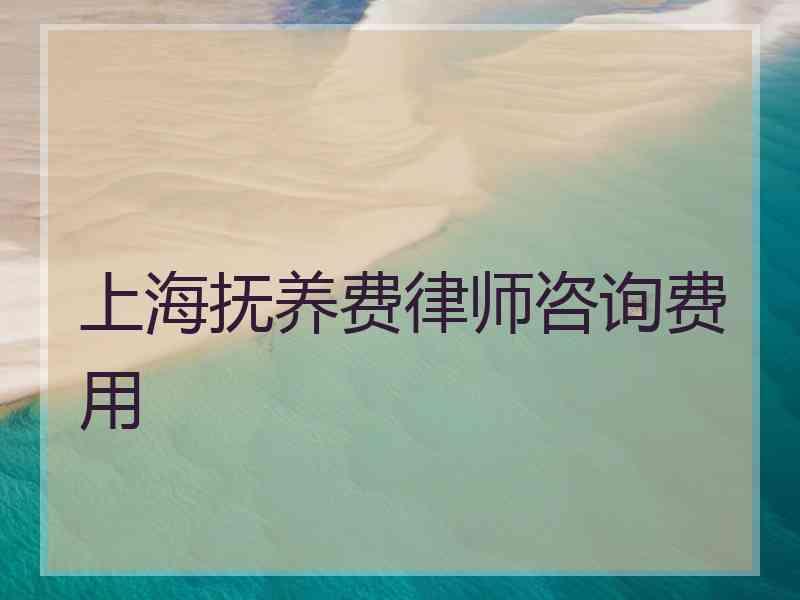 上海抚养费律师咨询费用