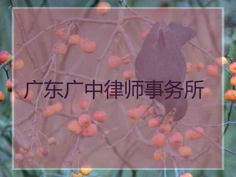 广东广中律师事务所