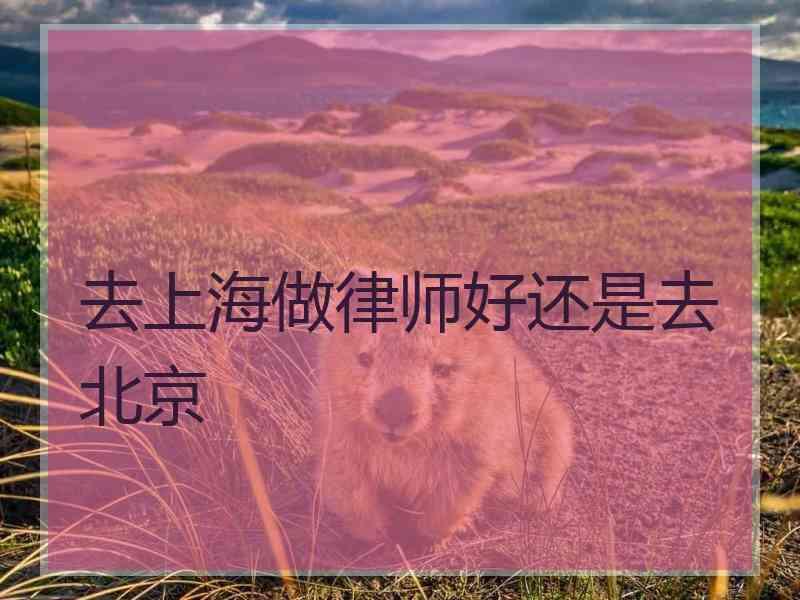 去上海做律师好还是去北京