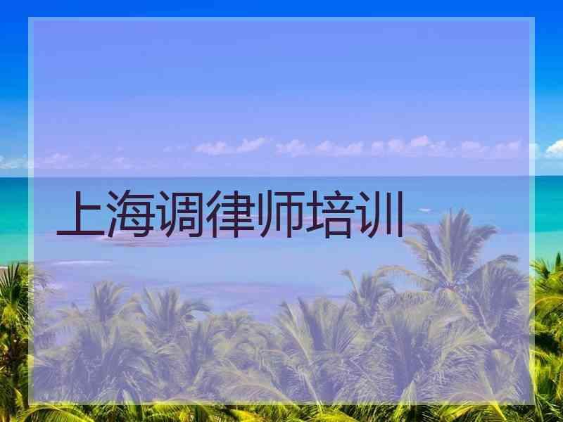 上海调律师培训