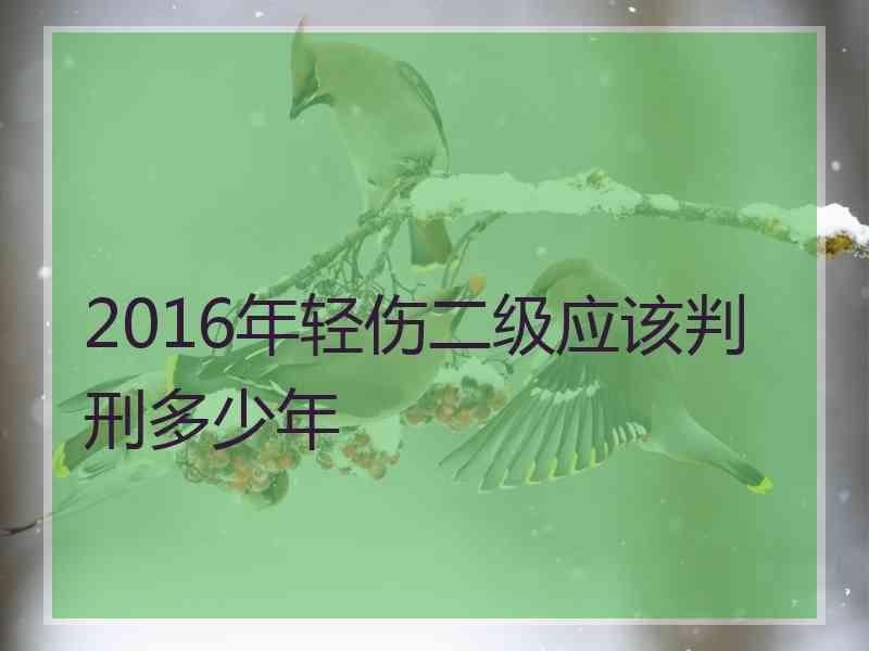 2016年轻伤二级应该判刑多少年