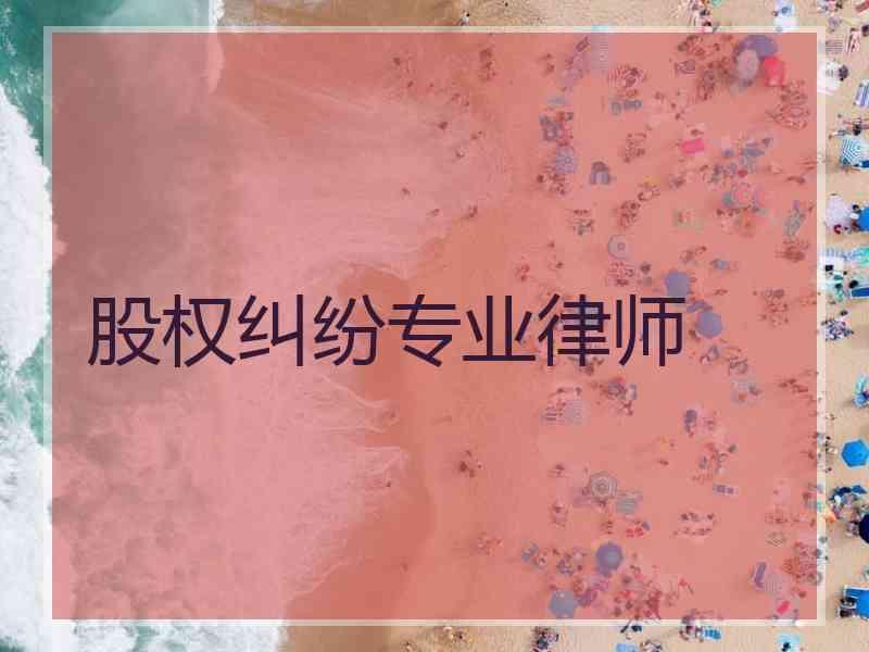 股权纠纷专业律师