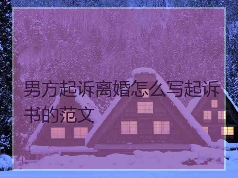 男方起诉离婚怎么写起诉书的范文