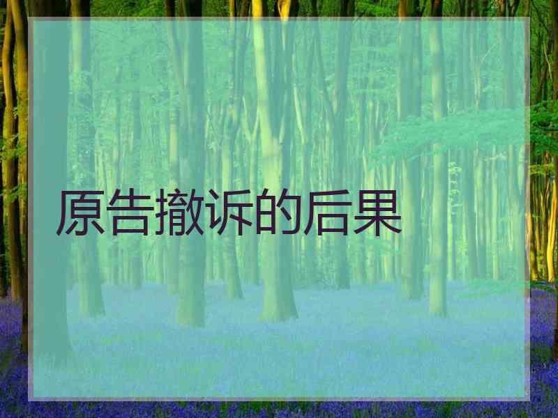 原告撤诉的后果