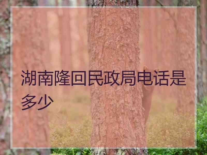 湖南隆回民政局电话是多少