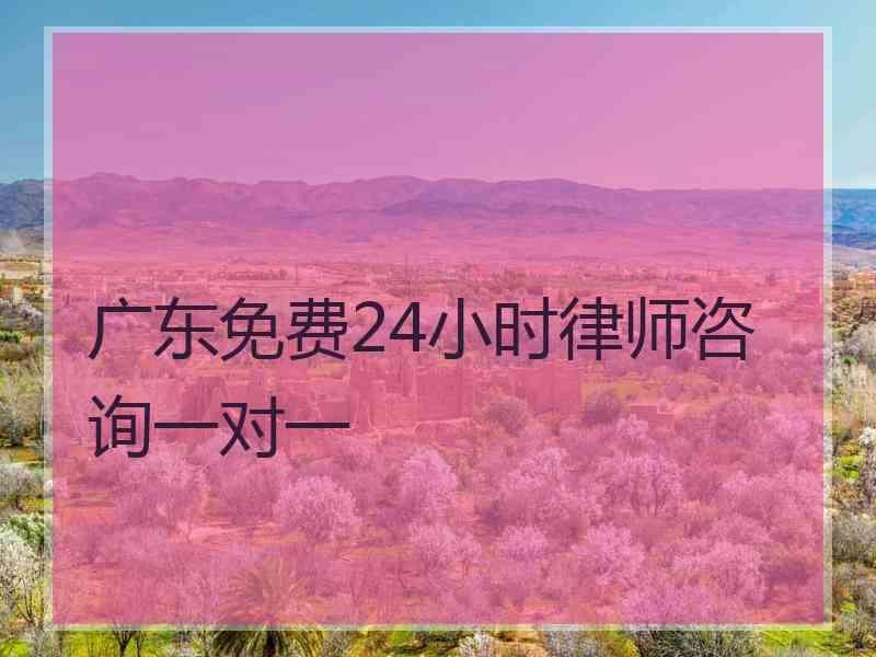 广东免费24小时律师咨询一对一