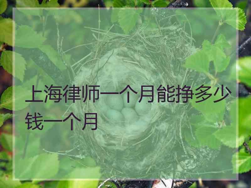 上海律师一个月能挣多少钱一个月