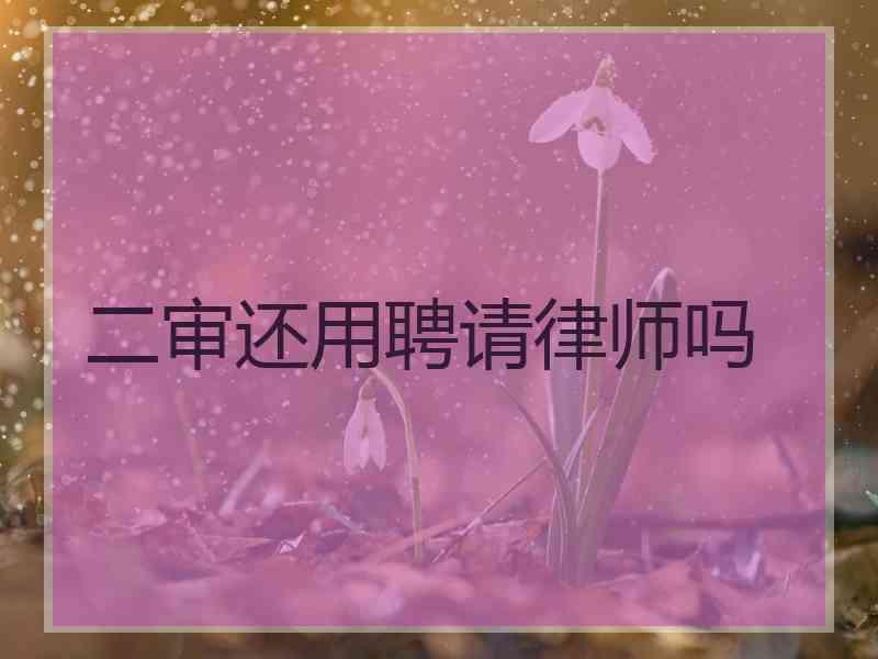 二审还用聘请律师吗