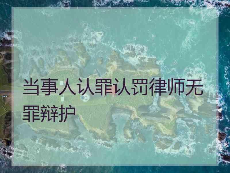 当事人认罪认罚律师无罪辩护