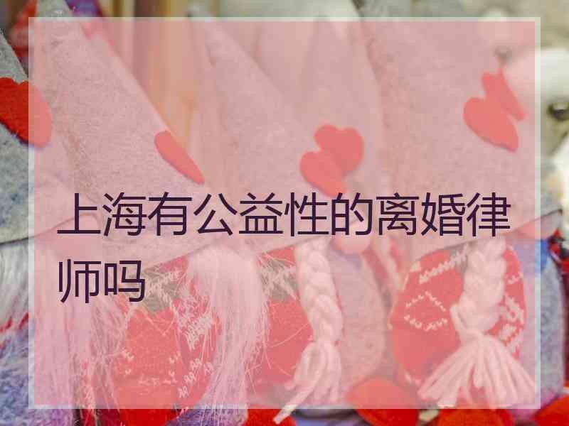 上海有公益性的离婚律师吗