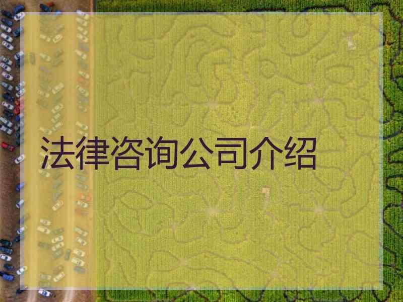 法律咨询公司介绍