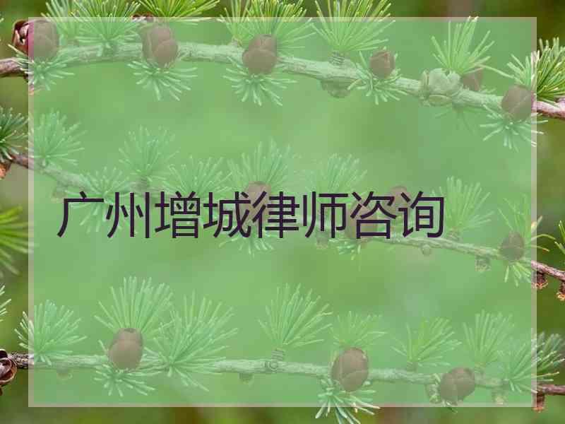 广州增城律师咨询