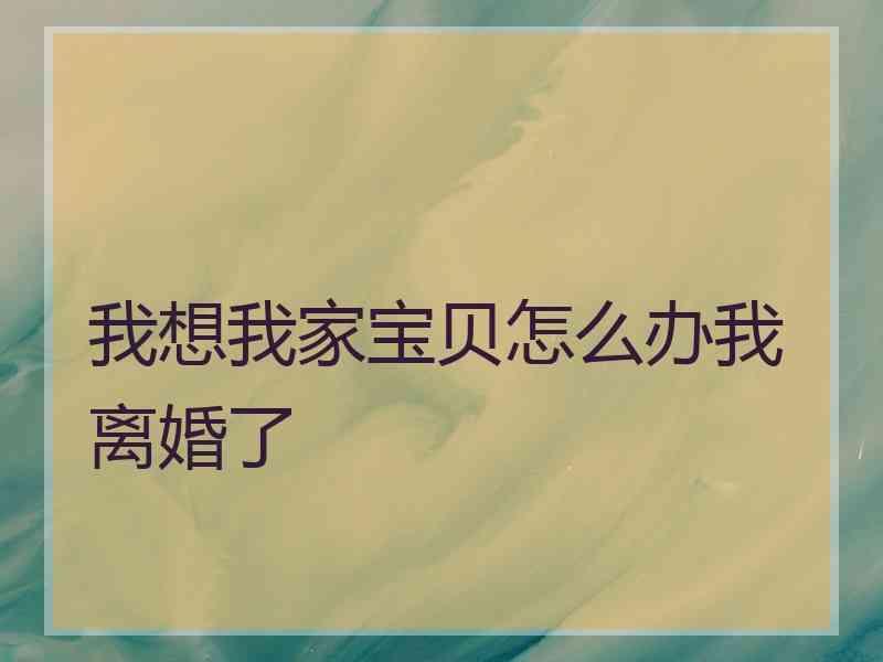 我想我家宝贝怎么办我离婚了