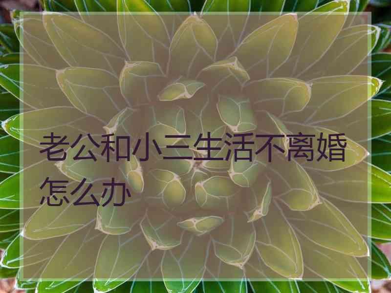 老公和小三生活不离婚怎么办