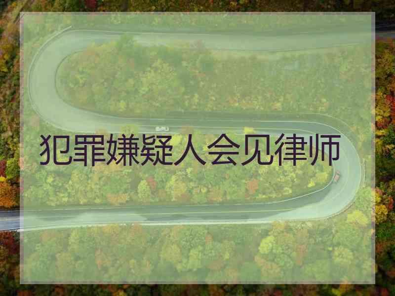 犯罪嫌疑人会见律师