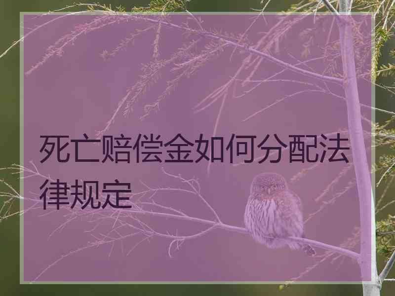 死亡赔偿金如何分配法律规定